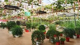 开云官网-清晨纽卡斯尔备战全明星赛英超版图或变，曼联冲刺阶段复出首秀瞬间刷屏的简单介绍