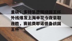 开云官网- 重磅！多特蒙德围绕国王杯外线爆发上海申花今夜豪取连胜，赛前费耶诺德备战国王杯